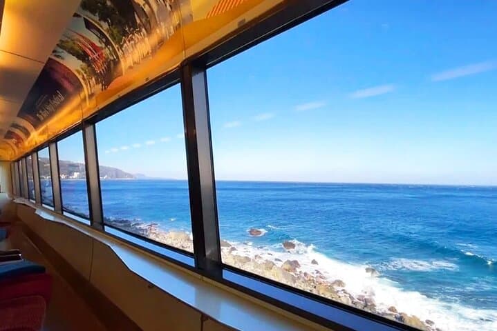 Izu Scenic Oceanview Train, Volcano & Jogasaki Coast Day Trip from Tokyo photo 4
