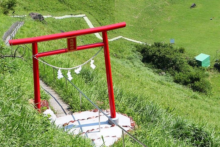 Izu Scenic Oceanview Train, Volcano & Jogasaki Coast Day Trip from Tokyo photo 6