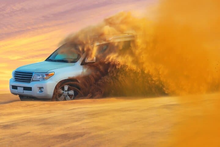 Abu Dhabi Evening Desert Safari: Dune Bashing, Falconry & Starry BBQ photo 3