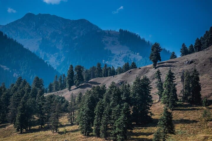 Kashmir and Taj Mahal: 9-Day Srinagar, Gulmarg, Pahalgam & Agra Cultural and Nature Tour