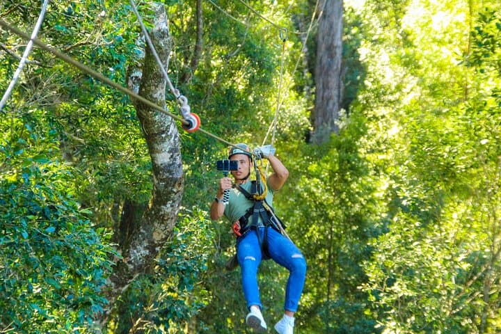 Fly the Tsitsikamma Canopy: Zipline Through South Africa’s Oldest Rainforest photo 2