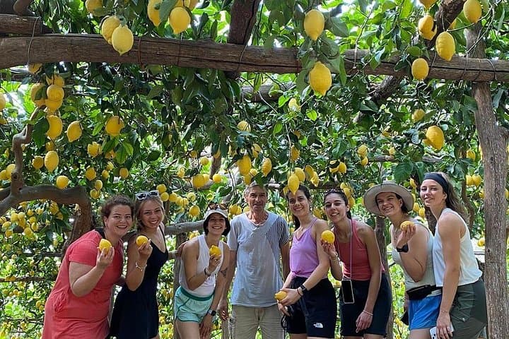 Amalfi Lemon Grove Vespa Tour: Scenic Coast Ride & Local Tasting photo 6