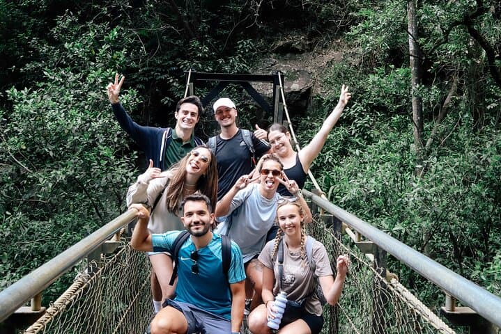 Springbrook Waterfalls & Natural Bridge Day Tour — Koalas, Lookouts & Rainforest Walks photo 2