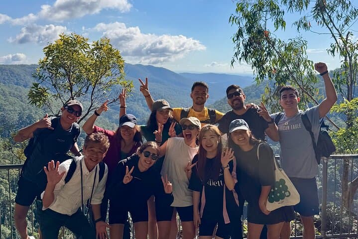 Springbrook Waterfalls & Natural Bridge Day Tour — Koalas, Lookouts & Rainforest Walks photo 4
