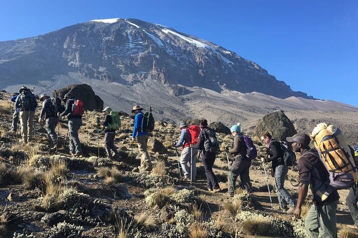 Whisky Route: 6-Day Kilimanjaro Climb via the Machame Route to Uhuru Peak photo 2