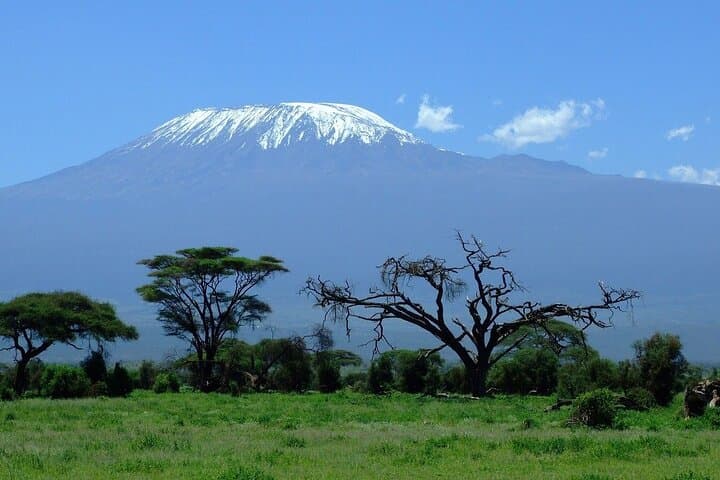 Whisky Route: 6-Day Kilimanjaro Climb via the Machame Route to Uhuru Peak photo 3