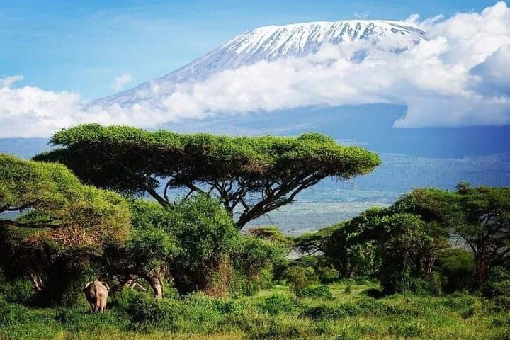 Whisky Route: 6-Day Kilimanjaro Climb via the Machame Route to Uhuru Peak photo 5