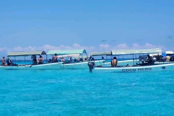 Private Mnemba Island Snorkel & Dolphin Swim with Lunch at Kendra Beach
