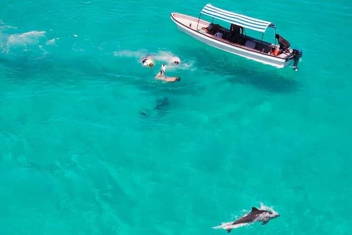 Private Mnemba Island Snorkel & Dolphin Swim with Lunch at Kendra Beach photo 2
