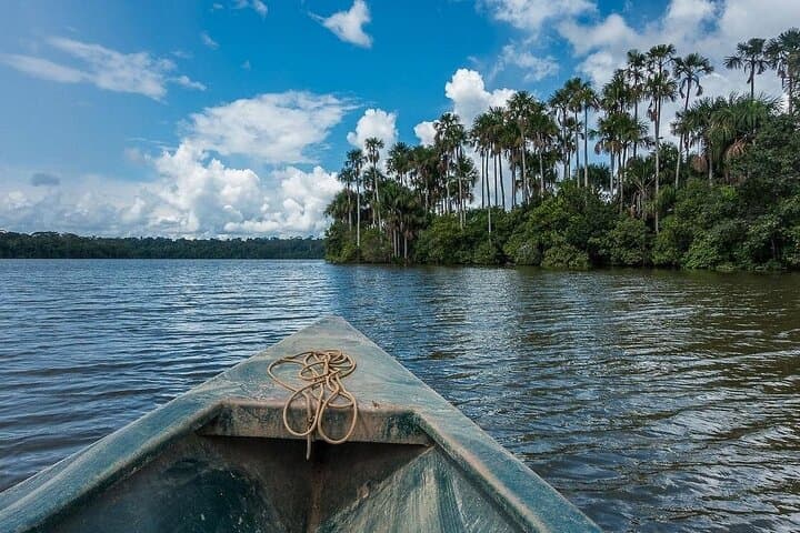 Tambopata Jungle Adventure Tour: 4-Day Wildlife, Canopy & Clay-Lick Experience photo 1