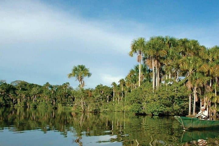 Tambopata Jungle Adventure Tour: 4-Day Wildlife, Canopy & Clay-Lick Experience photo 2
