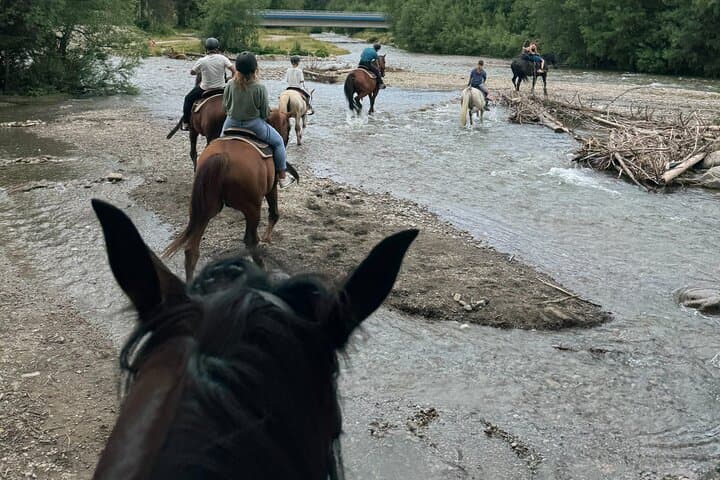 Zakopane Horseback Riding and Chochołów Thermal Baths Day Trip from Kraków photo 4