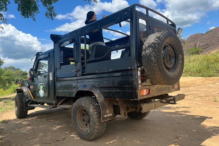 Minneriya National Park Elephant Safari from Sigiriya — Jeep Safari Guide photo 4