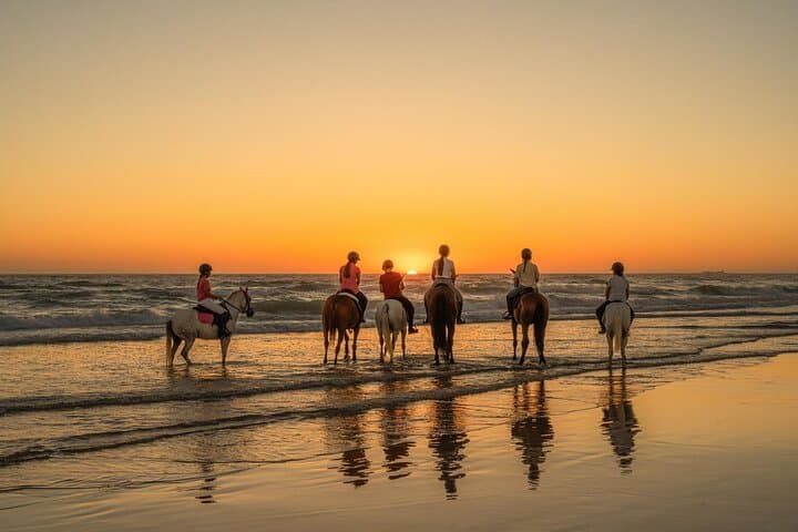 Hurghada Beach-to-Desert Horseback Ride — 2-Hour Red Sea Experience photo 3