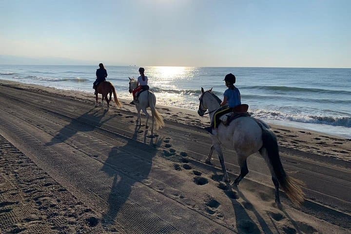 Hurghada Beach and Desert Horseback Ride: Ride and Swim the Red Sea photo 1