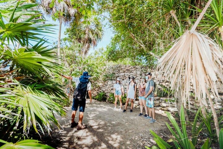 Half-Day Tulum and Gran Cenote Tour with Local Tacos — Ruins, Cenote Snorkel & Authentic Lunch photo 2