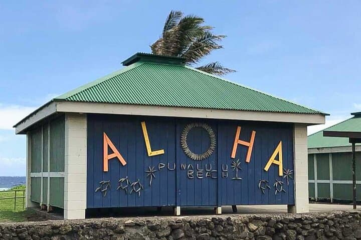 Punalu’u Black Sand Beach Tour — Volcanoes National Park & Hilo Explorer photo 4