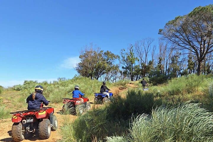 Hammamet Quad Bike Adventure: 35km Off-Road Tour with Olive Oil & Bread Tasting