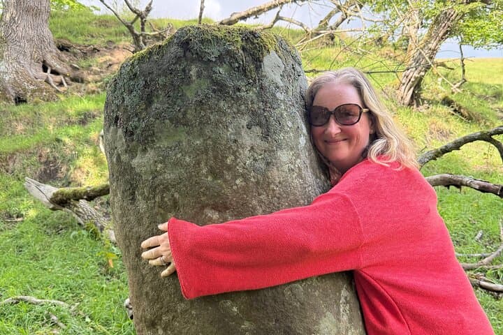 Hadrian's Wall Whistlestop Car Tour: Housesteads, Vindolanda & Sycamore Gap photo 5