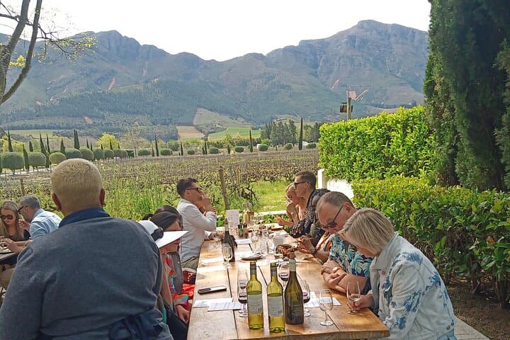 Full-Day Stellenbosch and Franschhoek Wine Tram: Full-Day Tram Wine Tasting from Cape Town photo 2