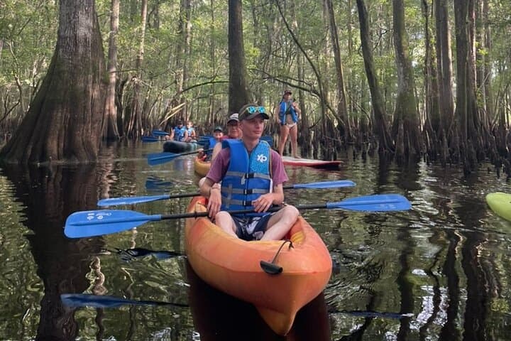 Manatee Springs Guided Kayak Tour: Paddle with Winter Manatees & Cypress Wetlands photo 5