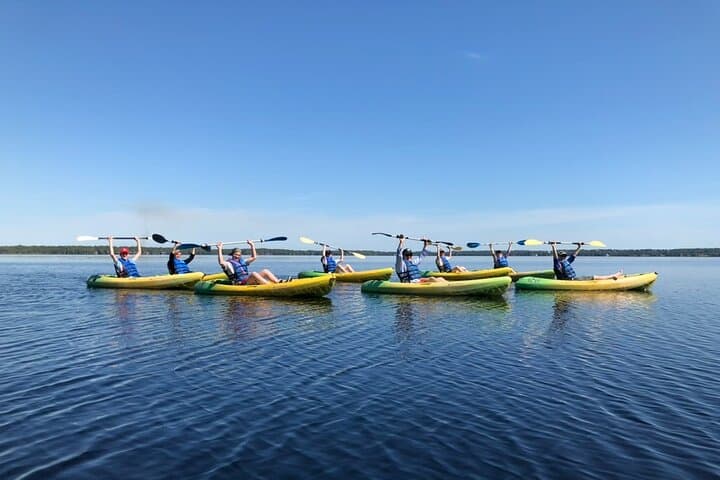 Manatee Springs Guided Kayak Tour: Paddle with Winter Manatees & Cypress Wetlands photo 3