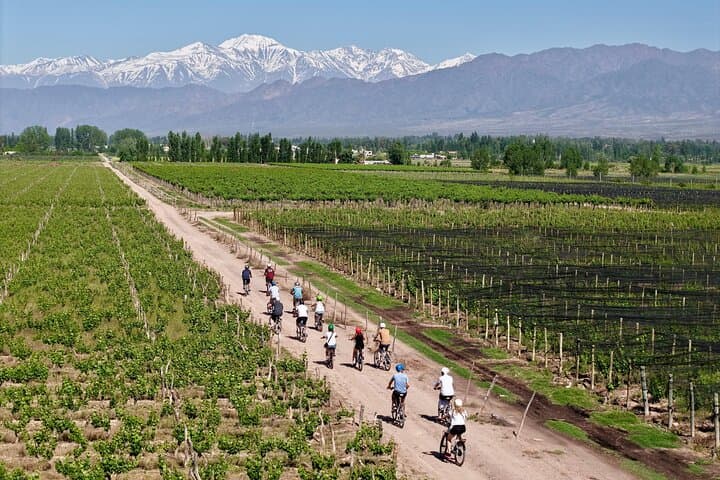 E‑Bike Gourmet Mendoza: Ride, Taste & Explore Luján de Cuyo Wineries