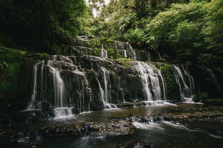 Catlins Full-Day Tour: Invercargill to Dunedin via Curio Bay, Purakaunui & Nugget Point photo 2