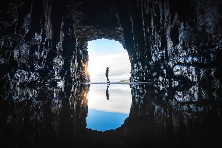 Catlins Full-Day Tour: Invercargill to Dunedin via Curio Bay, Purakaunui & Nugget Point photo 3