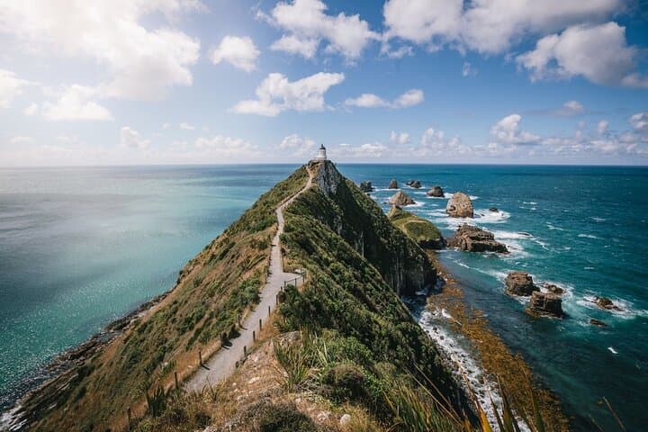 Catlins Full-Day Tour: Invercargill to Dunedin via Curio Bay, Purakaunui & Nugget Point