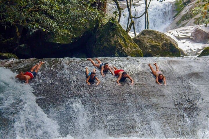 Two-Day Atherton Tablelands and Cape Tribulation Adventure: Waterfalls, Rainforest & River Cruises photo 3