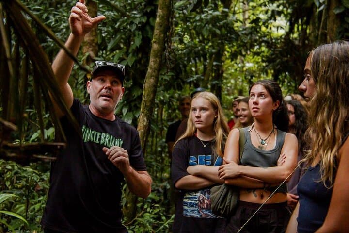 Two-Day Atherton Tablelands and Cape Tribulation Adventure: Waterfalls, Rainforest & River Cruises photo 2