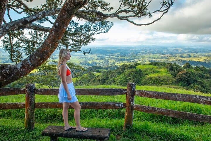 Two-Day Atherton Tablelands and Cape Tribulation Adventure: Waterfalls, Rainforest & River Cruises photo 5