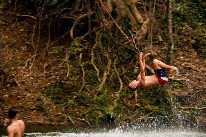 Two-Day Atherton Tablelands and Cape Tribulation Adventure: Waterfalls, Rainforest & River Cruises photo 6