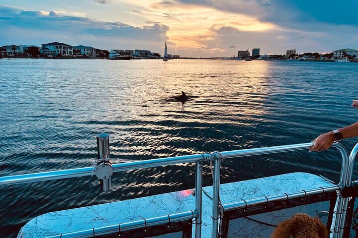 Destin Private Sunset Boat Tour on the HighToon — Harbor & Inner Canal Cruise photo 2