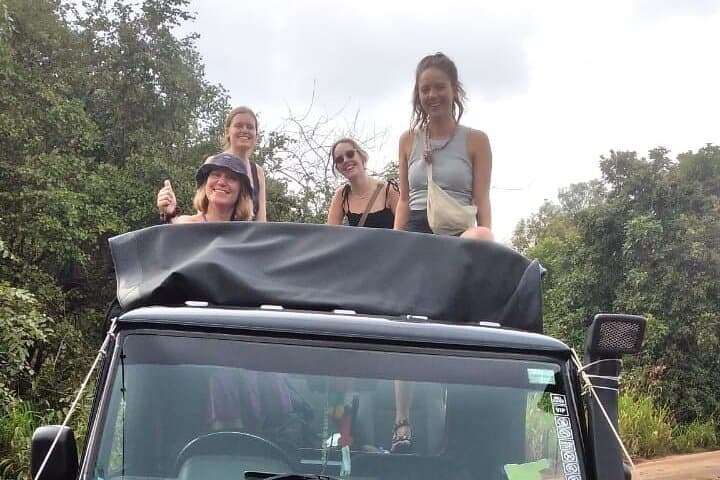 Great Elephant Gathering: Minneriya National Park Half-Day Private Jeep Safari photo 2