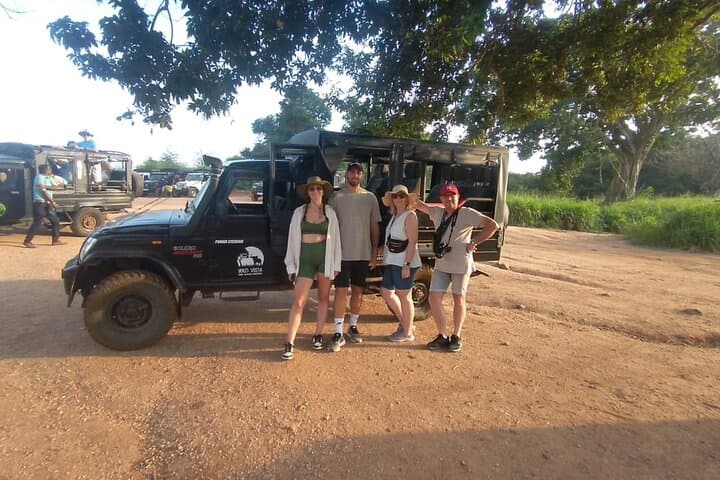 Great Elephant Gathering: Minneriya National Park Half-Day Private Jeep Safari photo 4