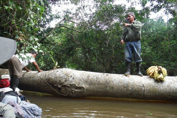 3-Night Amazon Jungle Retreat: Wildlife, Indigenous Culture & River Canoeing photo 3