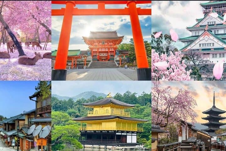 Private 3-Day Osaka Kyoto Nara Tour: Personalized City Highlights
