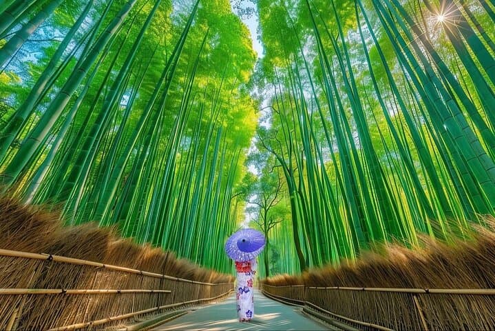 Private 3-Day Osaka Kyoto Nara Tour: Personalized City Highlights photo 2