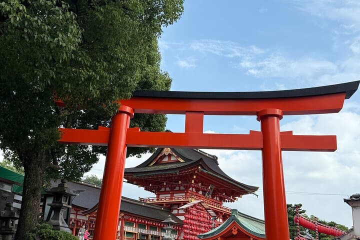 Private 3-Day Osaka Kyoto Nara Tour: Personalized City Highlights photo 3