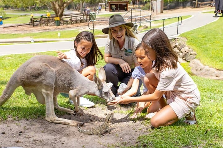 Private Gold Coast Day Tour: Currumbin Wildlife, Burleigh Heads & Surfer’s Paradise photo 3