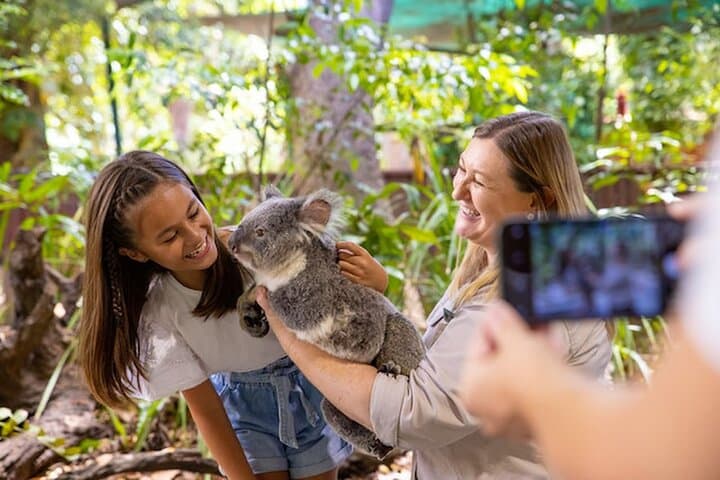 Private Gold Coast Day Tour: Currumbin Wildlife, Burleigh Heads & Surfer’s Paradise photo 2