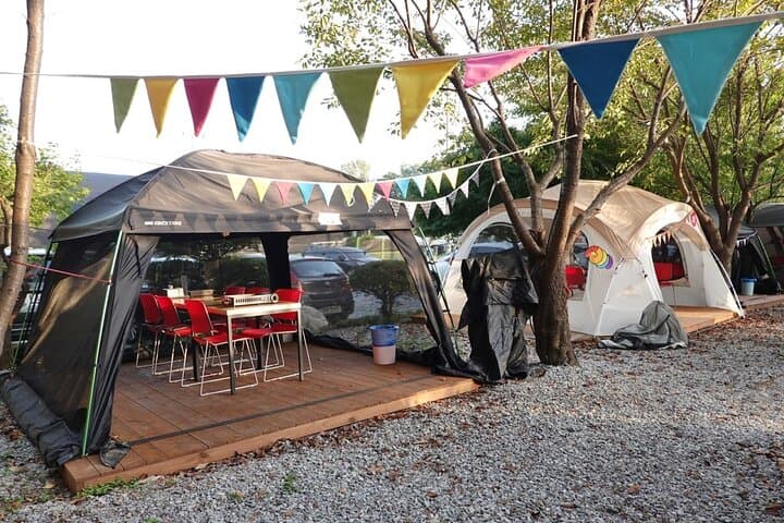 DMZ Tour & Campnic: Aegibong Observatory, River Views & K‑BBQ in a Day