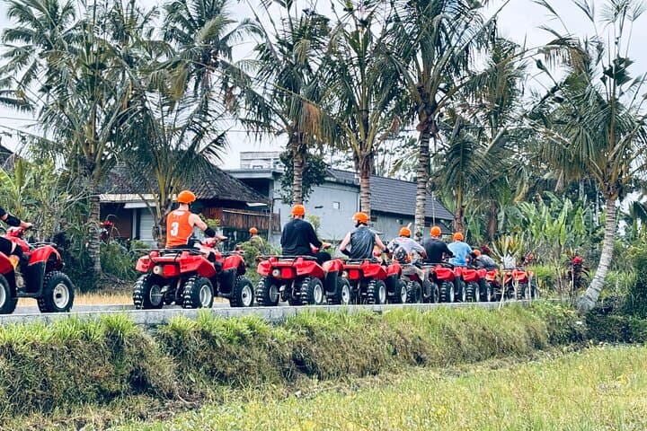 Gorilla ATV Ride and Cretya Infinity Pool — Ubud Rice-Terrace Adventure photo 6