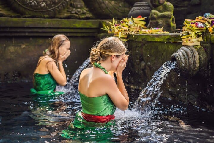 Custom Bali Private Day Tour with English-Speaking Driver — Ubud Temples, Rice Terraces & Waterfalls