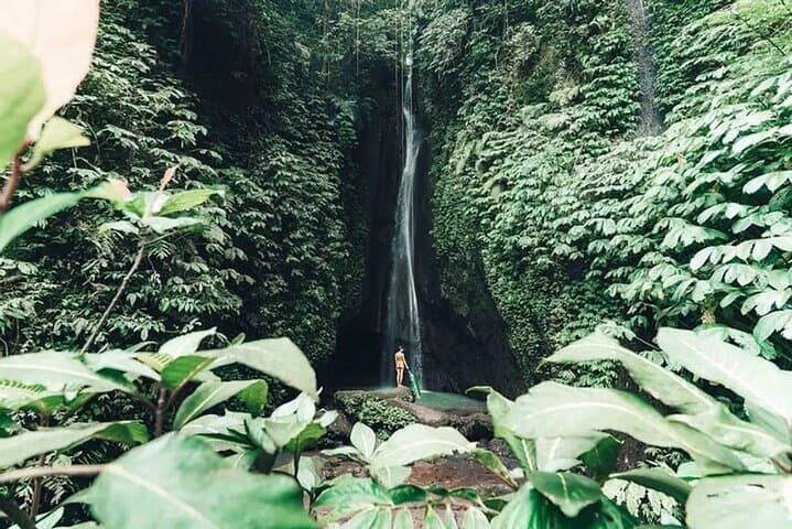 Best of North Bali: Private Full-Day Tour to Ulun Danu, Sangeh Monkey Forest, Leke-Leke Waterfall & Jatiluwih photo 6