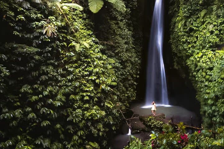 Best of North Bali: Private Full-Day Tour to Ulun Danu, Sangeh Monkey Forest, Leke-Leke Waterfall & Jatiluwih
