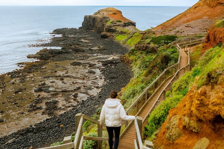Mornington Peninsula Private Day Tour — Cape Schanck, Sorrento & Arthur's Seat photo 2
