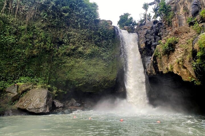 Custom Bali Private Day Tour with English-Speaking Driver — Ubud Temples, Rice Terraces & Waterfalls photo 4